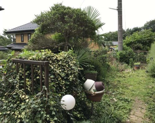 埼玉県鳩山町 手入れが楽になる緑広がる芝生のお庭 ビズガーデニング